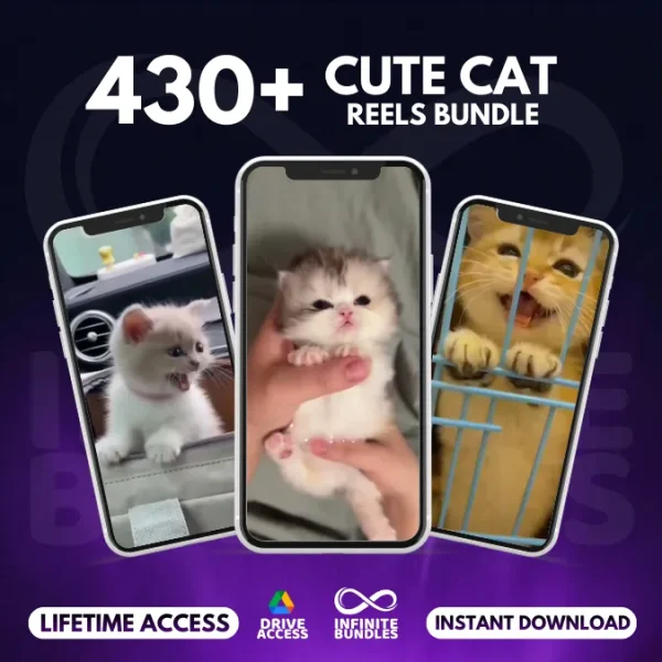Cute Cat Reels