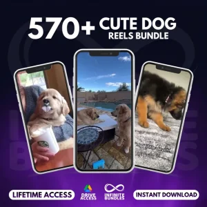 Cute Dog Reels